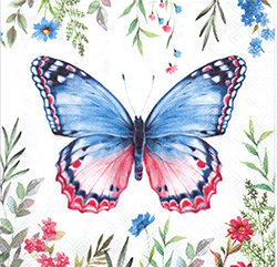 \y(33cmx33cm)B33-815