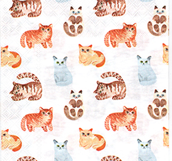 \y(33cmx33cm)B33-816