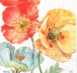 \y(33cmx33cm)B33-819