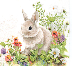 \y(33cmx33cm)B33-826