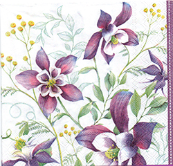 \y(33cmx33cm)B33-835