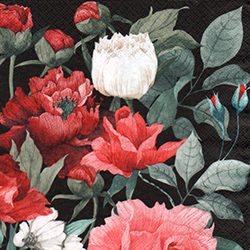 \y(33cmx33cm)B33-840
